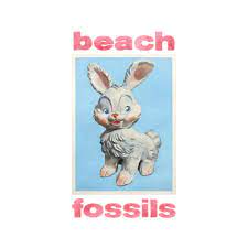 Beach Fossils - Bunny Zip Download