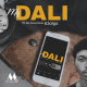 TfsDaGrootman & Salga (Duo) - My Dali Mp3 Download